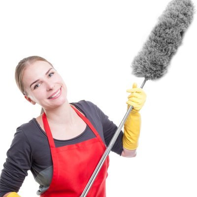 მტვრის საწმენდი ღრუბელი